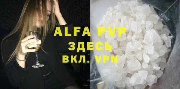 СК Белокуриха