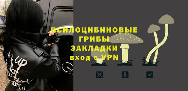 гидра Белоозёрский