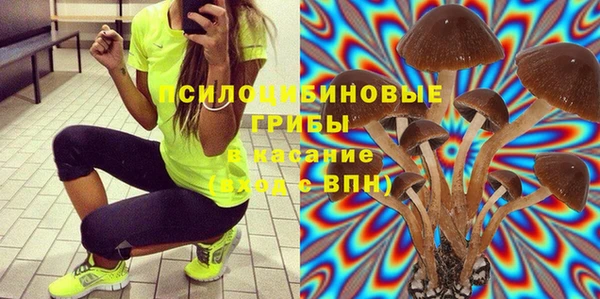 гидра Белоозёрский
