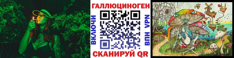 дарк нет телеграм  Гороховец  Псилоцибиновые грибы прущие грибы 